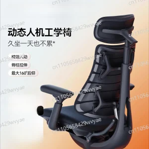 Ergonomic Chair Computer Relaxation Dynamic Ergonomic Chair
