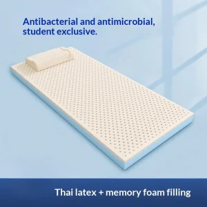 Thai Latex Mattress Topper Memory Foam Thick Tatami Foldable Student Dorm Rental Home Bed Pad Breathable Hypoallergenic Home